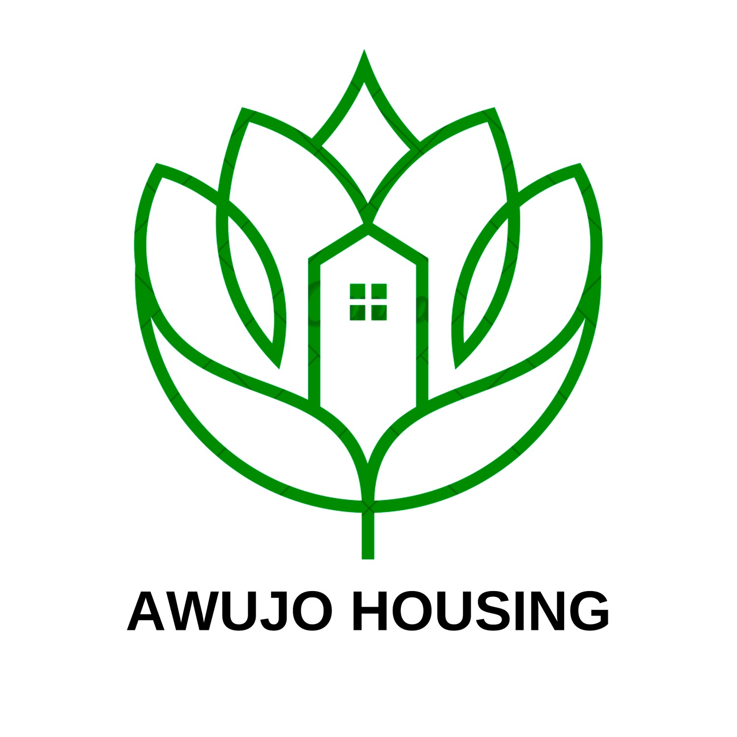 Awujo Spaces